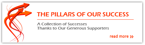 pillars of success