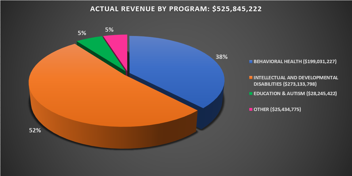 Actual Revenue by Program