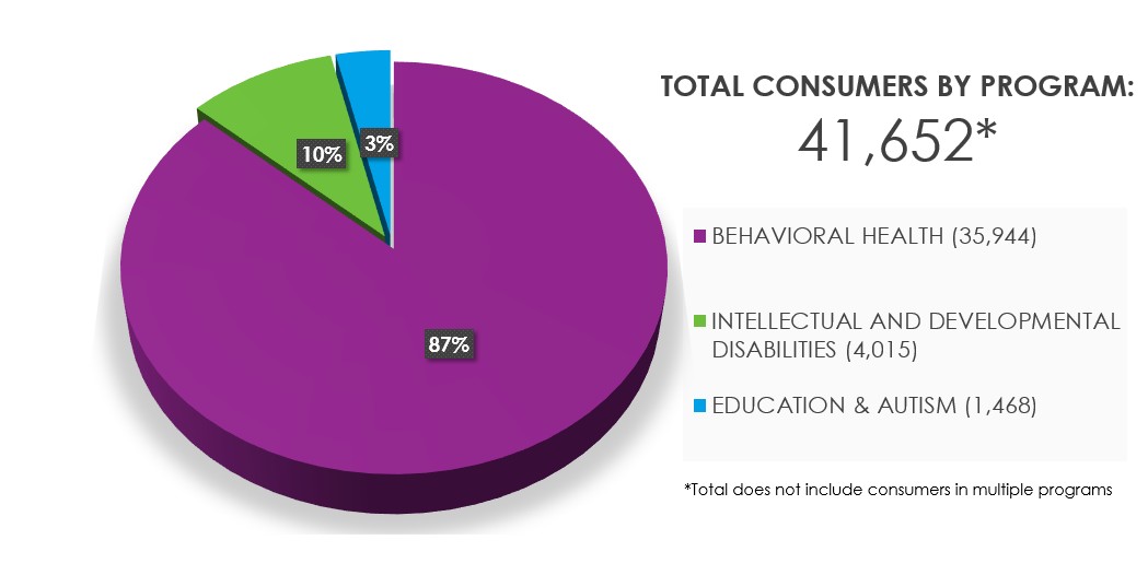 total consumers by program