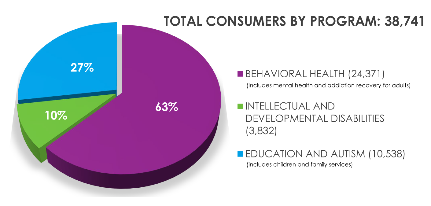 consumers by program